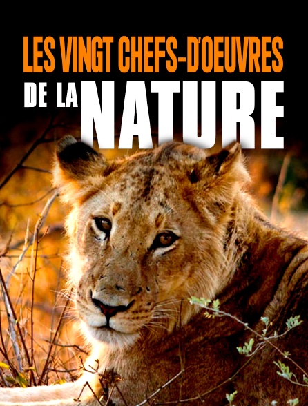 Les vingt chefs-d'œuvre de la nature