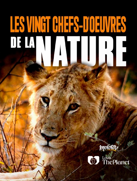 Love the Planet - Les vingt chefs-d'œuvre de la nature - 17/09/2024 à 00h13