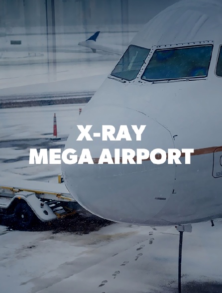 X-Ray Mega Airport