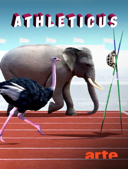 Arte - Athleticus