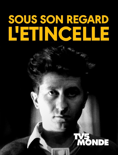 TV5MONDE - Sous son regard, l'étincelle
