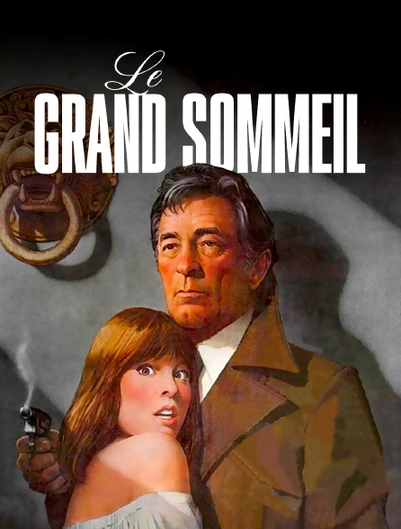 Le grand sommeil