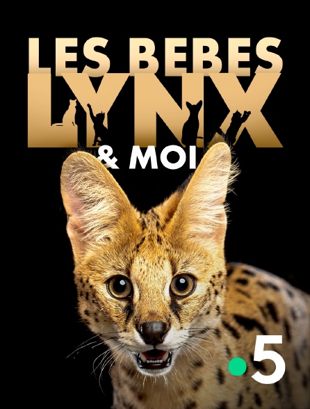 France 5 - Les bébés lynx et moi