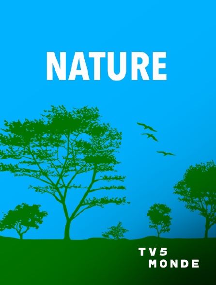 TV5MONDE - Vertigineuse Ecosse