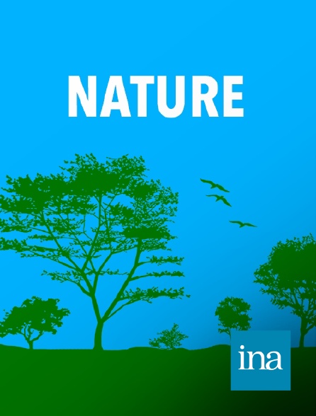 INA - Joël de Rosnay : définition d'un écosystème