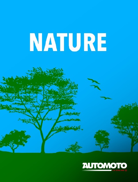 Automoto - Dashcam en action !