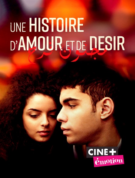 Ciné+ Emotion - Une histoire d'amour et de désir