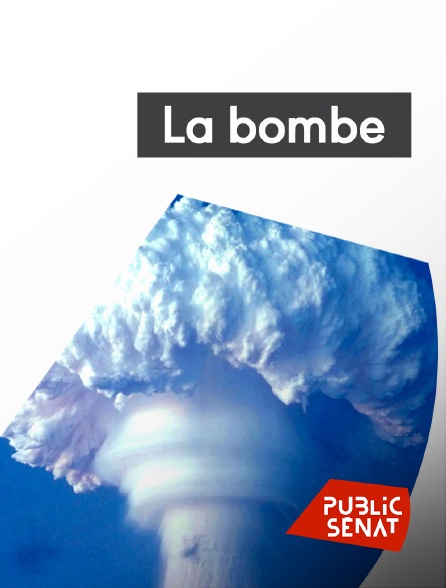 Public Sénat - La bombe