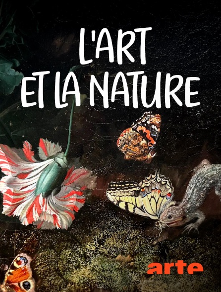 Arte - L'art et la nature : Peintres néerlandaises du XVIIe siècle