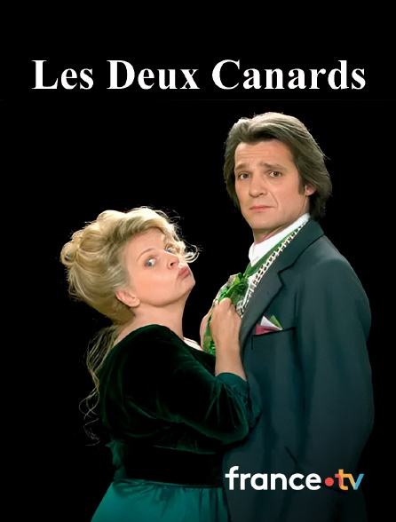Culturebox - Les deux canards