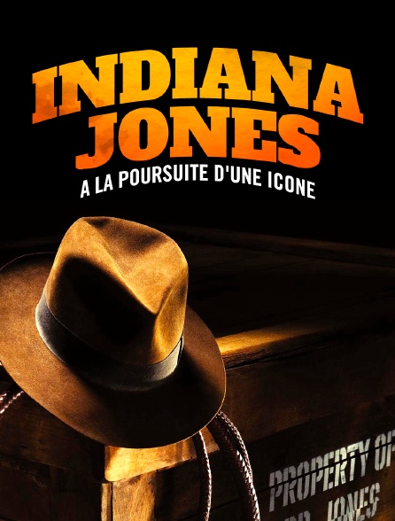 Indiana Jones, à la poursuite d'une icône