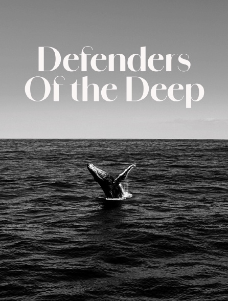 Defenders Of the Deep