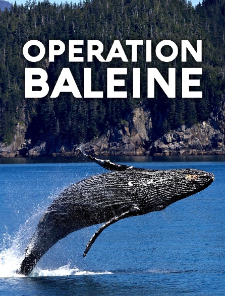 Opération baleine