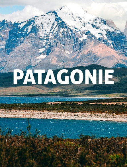 Patagonie : Transhumance andine