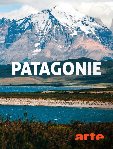 Arte - Patagonie : Transhumance andine