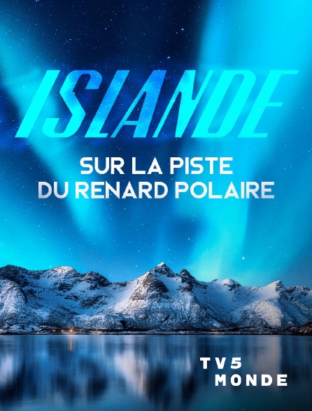 TV5MONDE - Islande, sur la piste du renard polaire
