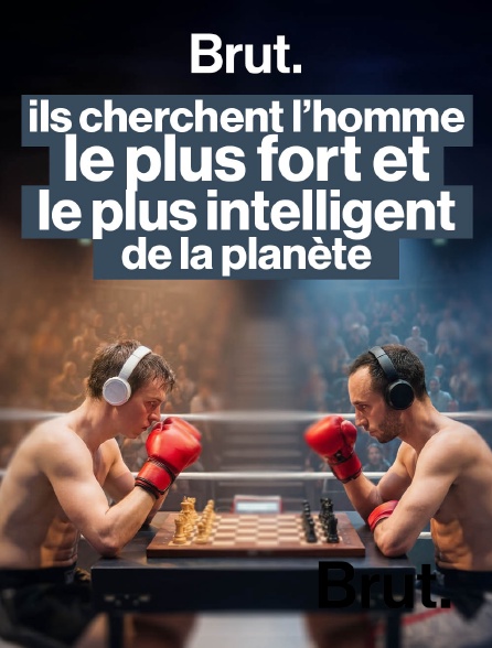 Brut - Ils cherchent l'homme le plus fort et le plus intelligent de la planète en replay
