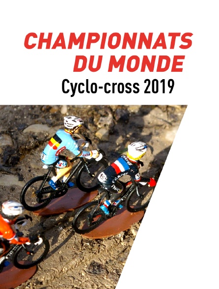 Championnats du monde Cyclo-cross 2019