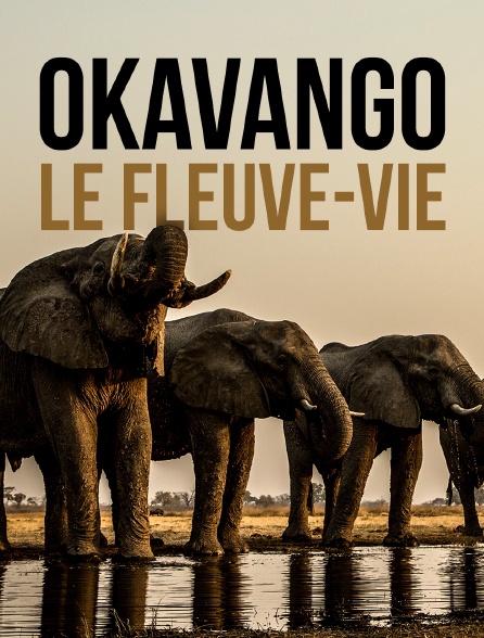 Okavango, le fleuve-vie