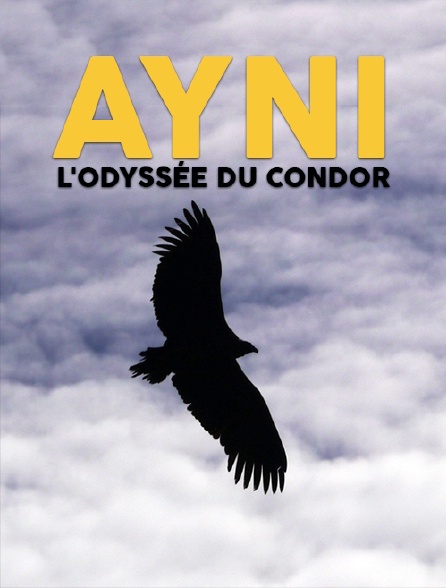 Ayni, l'odyssée du condor