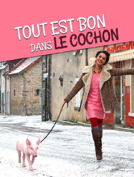Tout est bon dans le cochon en streaming