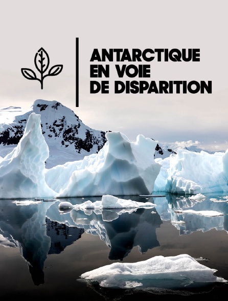 Antarctique en voie de disparition