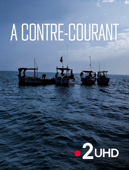 France 2 UHD - A contre-courant