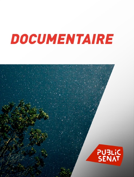 Public Sénat - Documentaire