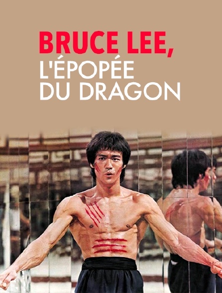 Bruce Lee, l'épopée du dragon