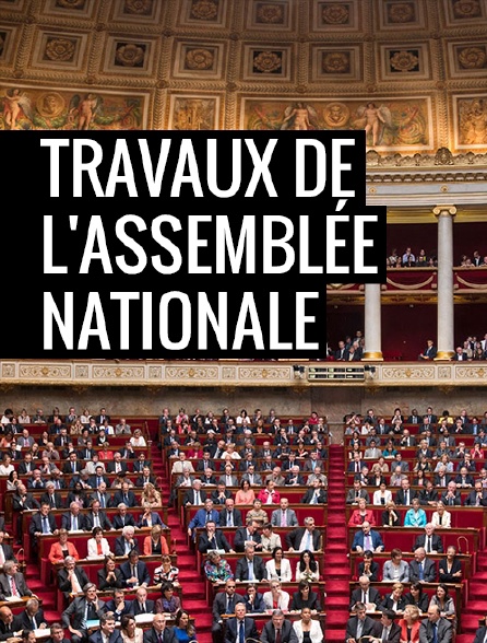 Travaux de l'Assemblée nationale