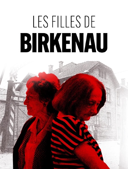 Les filles de Birkenau