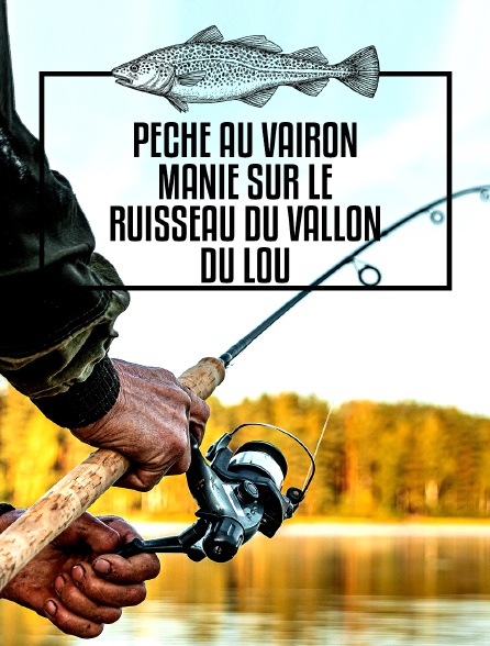 Pêche au vairon manié sur le ruisseau du Vallon du Lou