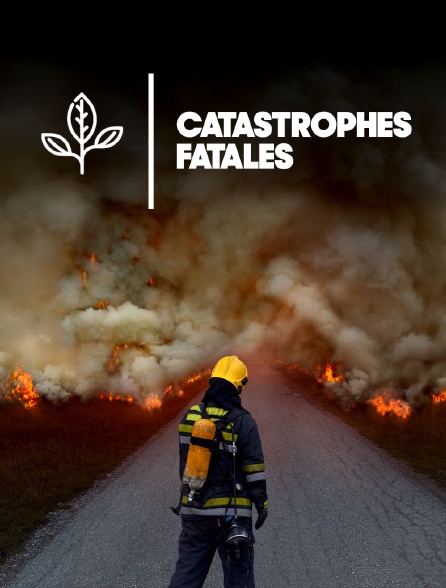 Catastrophes fatales