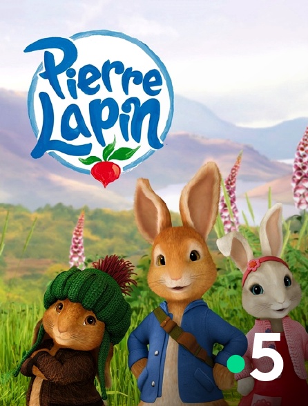 France 5 - Pierre Lapin