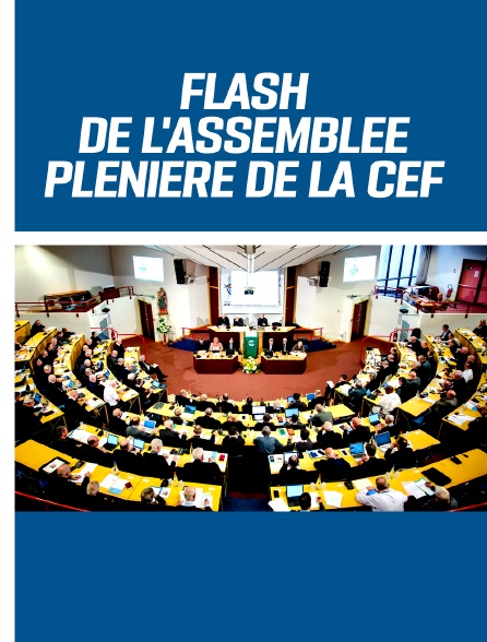 Flash de l'Assemblée plénière de la CEF