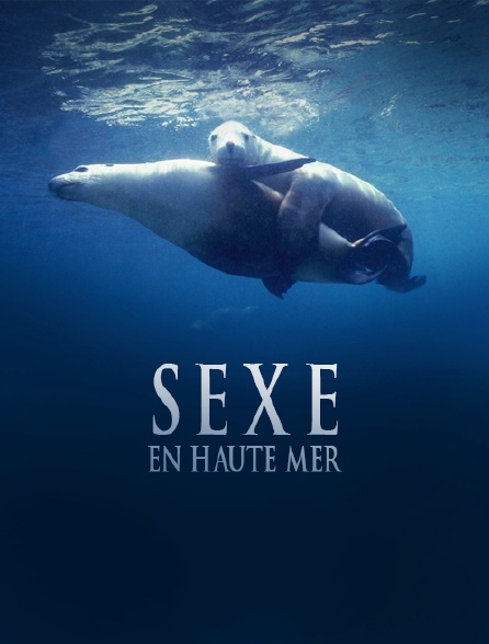 Sexe en haute mer