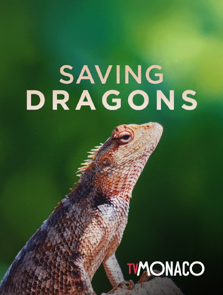 TV Monaco - Saving dragons