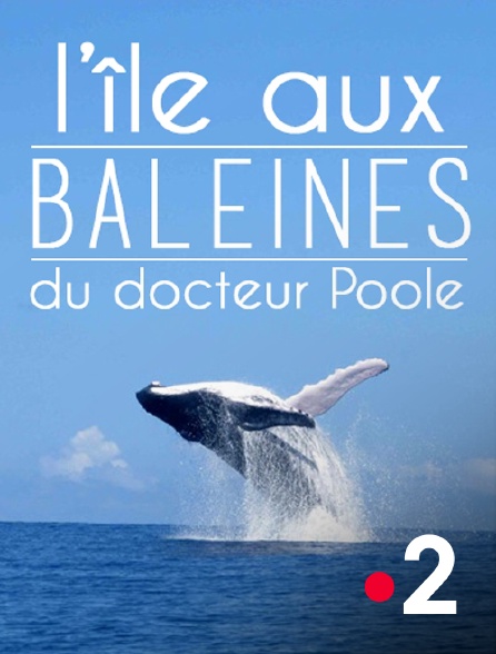 France 2 - L'île aux baleines du docteur Poole