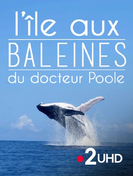 France 2 UHD - L'île aux baleines du docteur Poole
