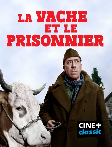 CINE+ Classic - La vache et le prisonnier en replay