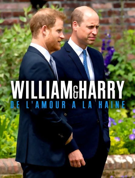William et Harry : de l'amour à la haine