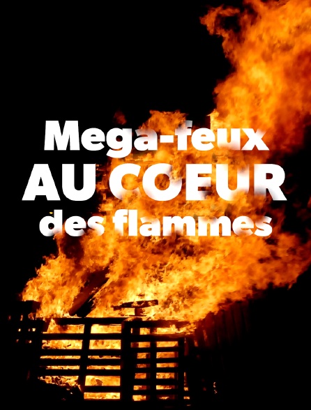 Méga-feux : au coeur des flammes