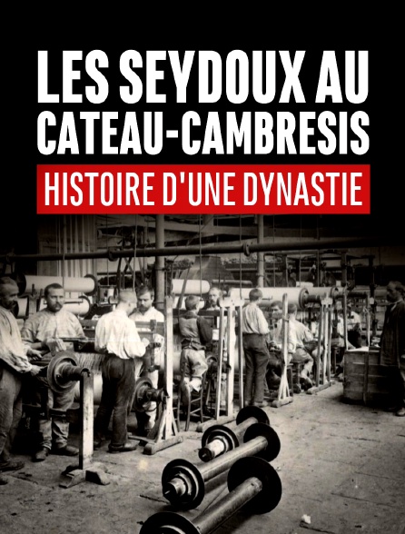 Les Seydoux au Cateau-Cambrésis. Histoire d'une dynastie