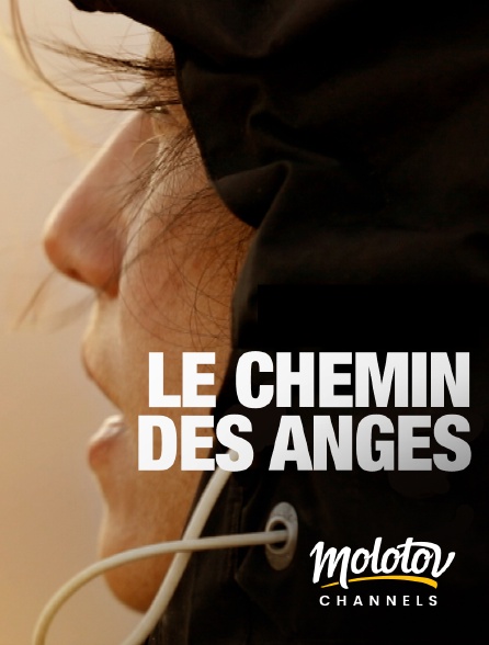 Mango - Le chemin des anges en replay