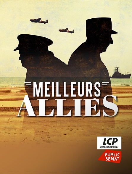 LCP Public Sénat - Meilleurs alliés