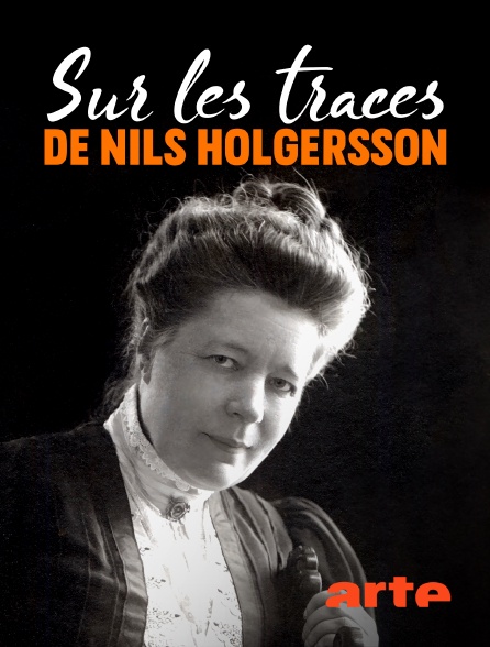 2020 Sur Les Traces De Nils Holgersson