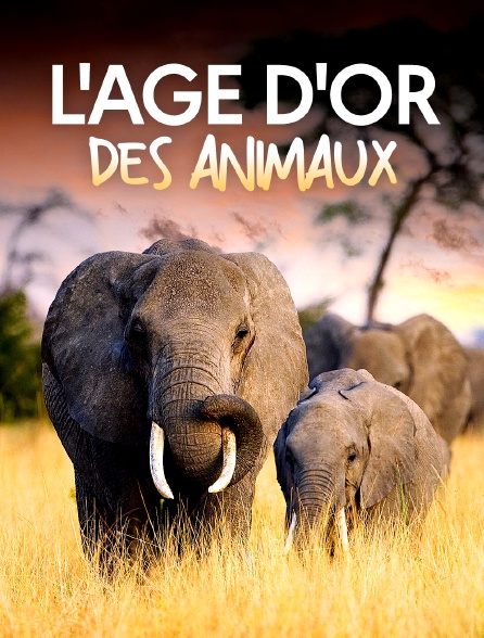 L'âge d'or des animaux