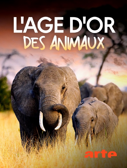 Arte - L'âge d'or des animaux