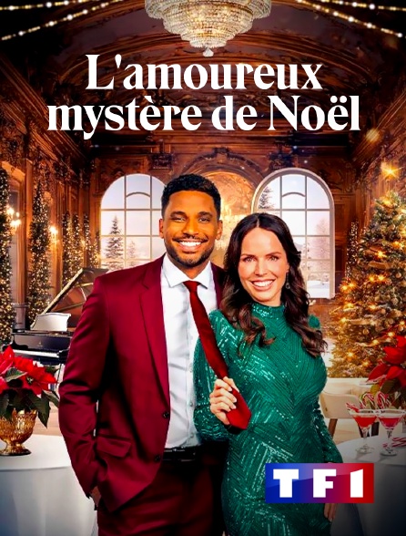 TF1 - L'amoureux mystère de Noël