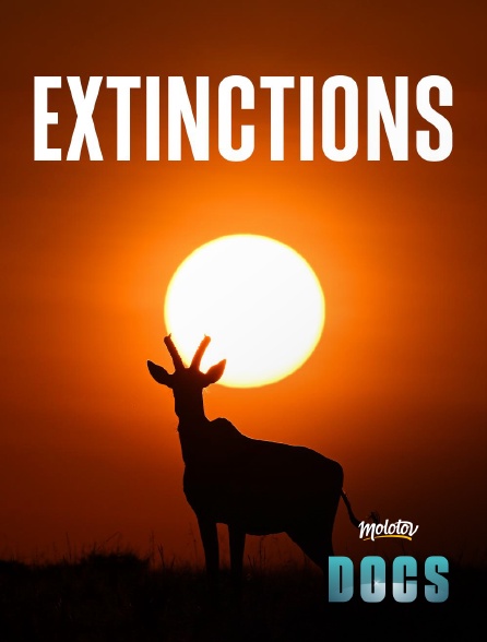 Molotov Channels Docs - Extinctions